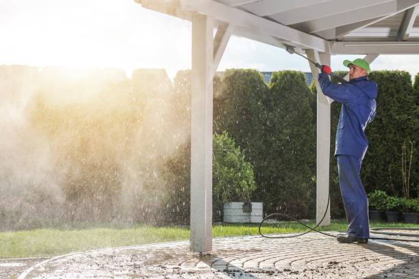 Best Sidewalk and Walkway Cleaning  in Decherd, TN